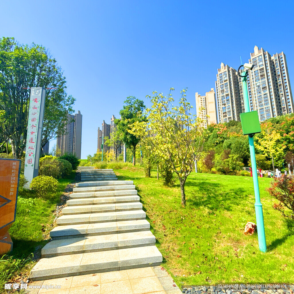 城市中的绿意步道景观