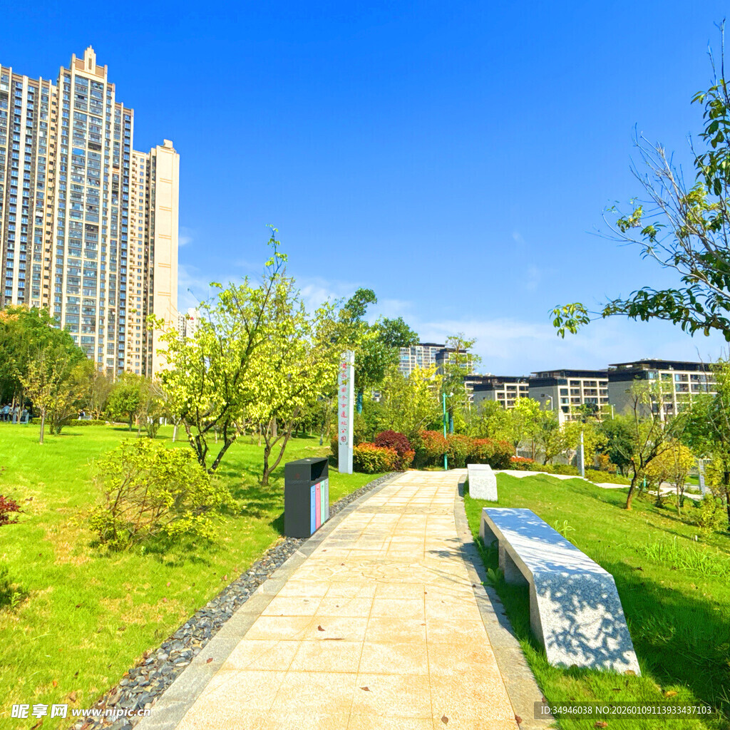 城市中的静谧绿色步道