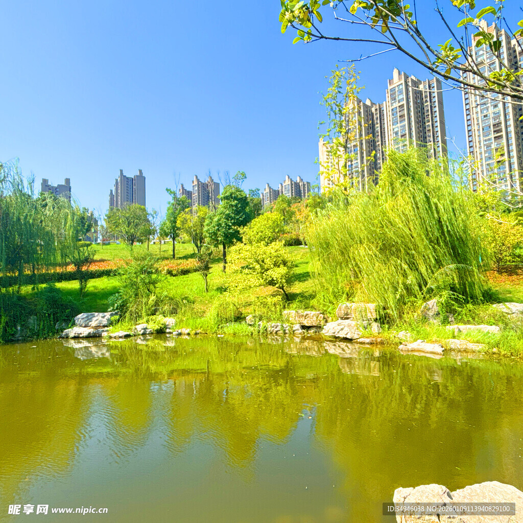 城市中的静谧湖畔风光