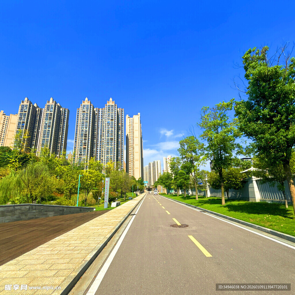 城市中的宽阔林荫骑行道