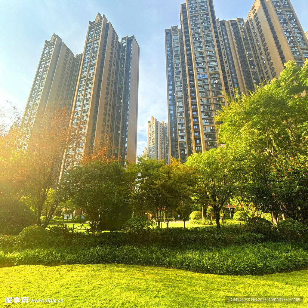 阳光照耀下的城市绿地高楼