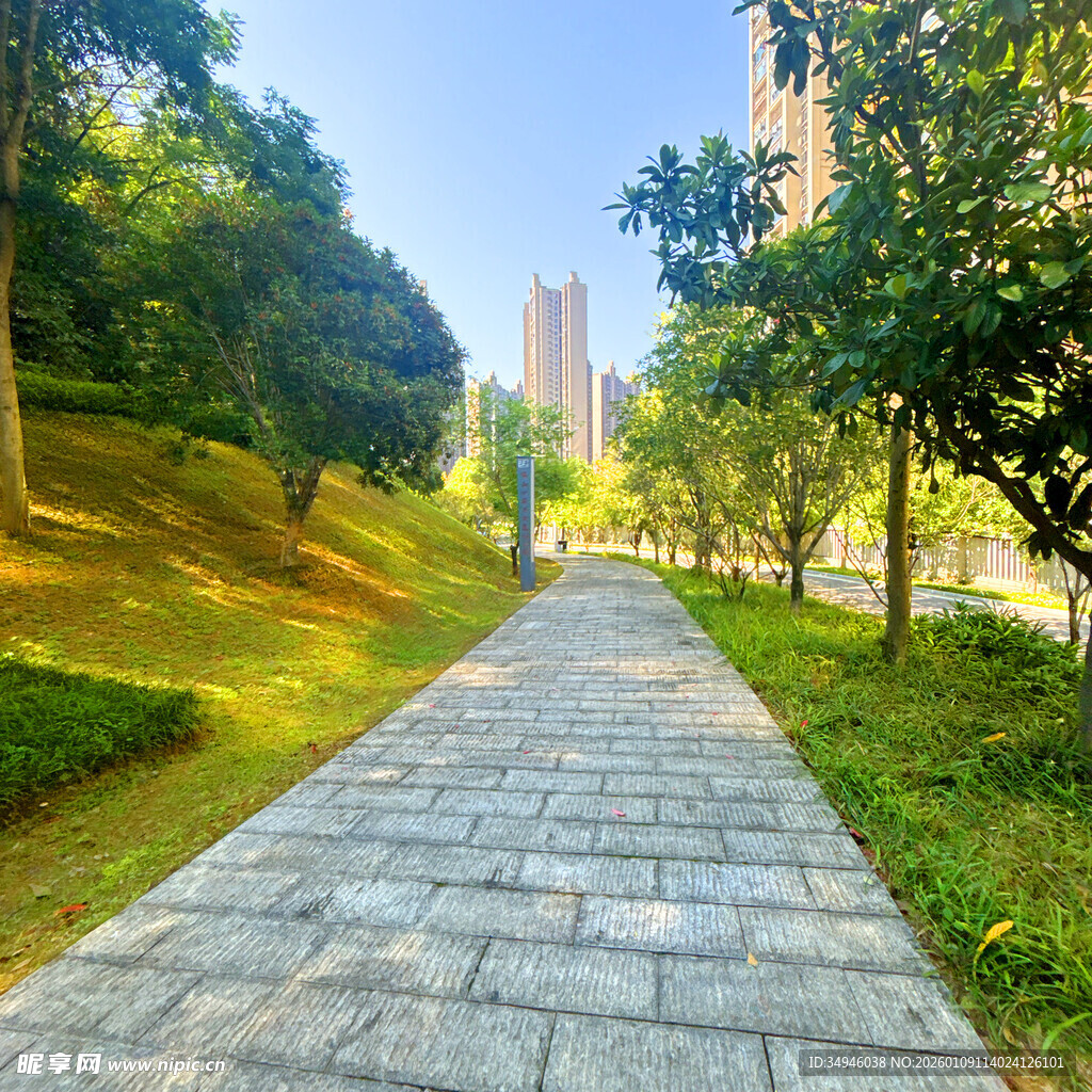 城市林间石板步道风景