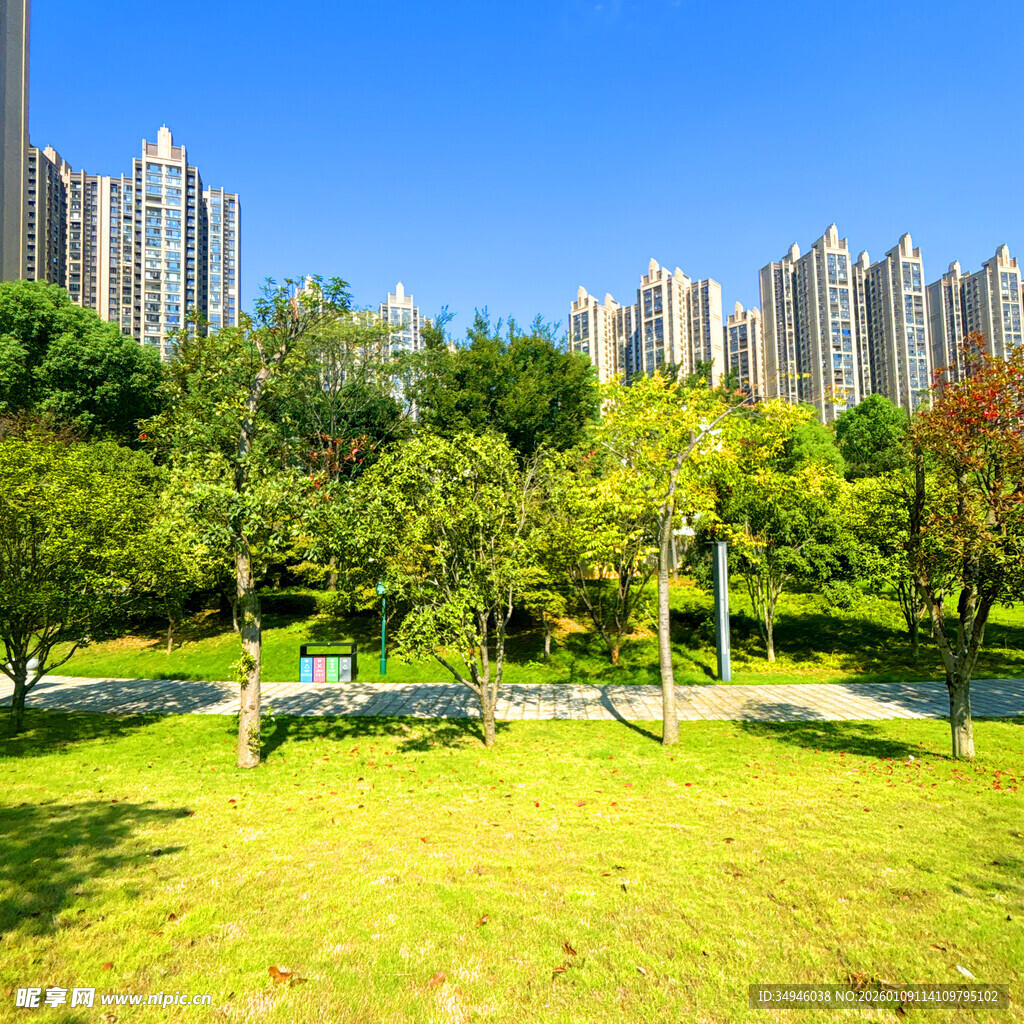 城市公园绿意盎然景致