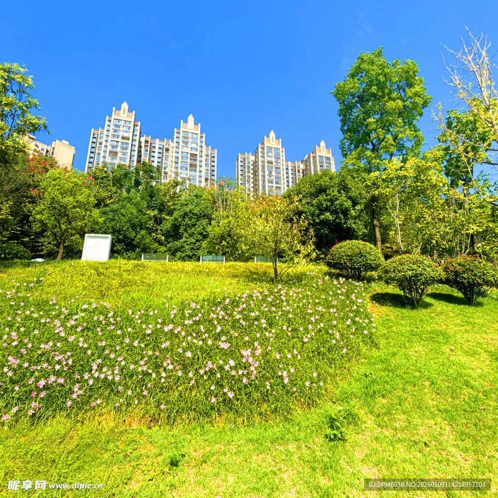 城市绿地中的秀丽风景