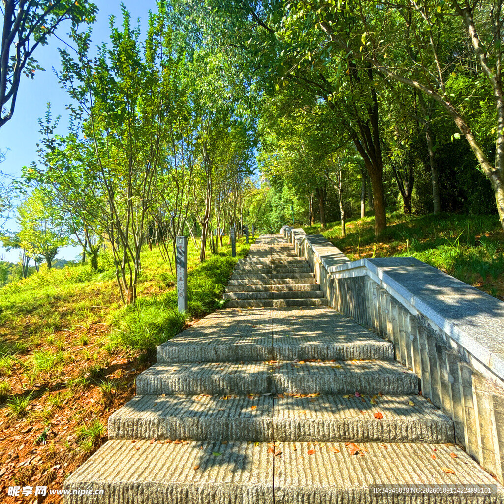 林间石阶