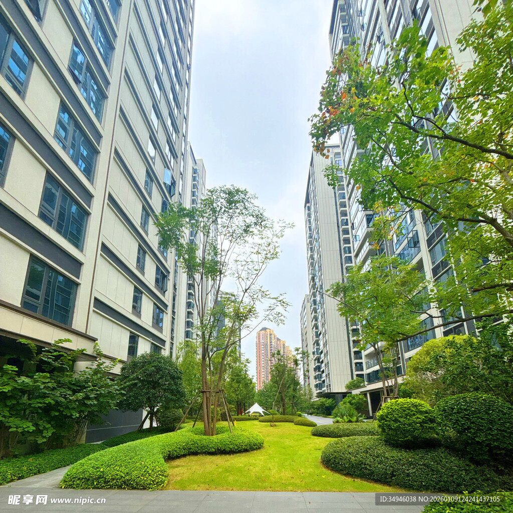 现代小区绿意盎然景观