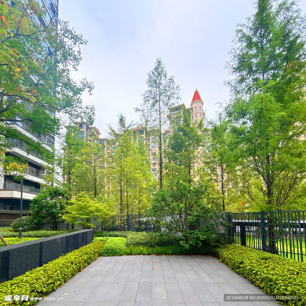 都市中的静谧园林景观