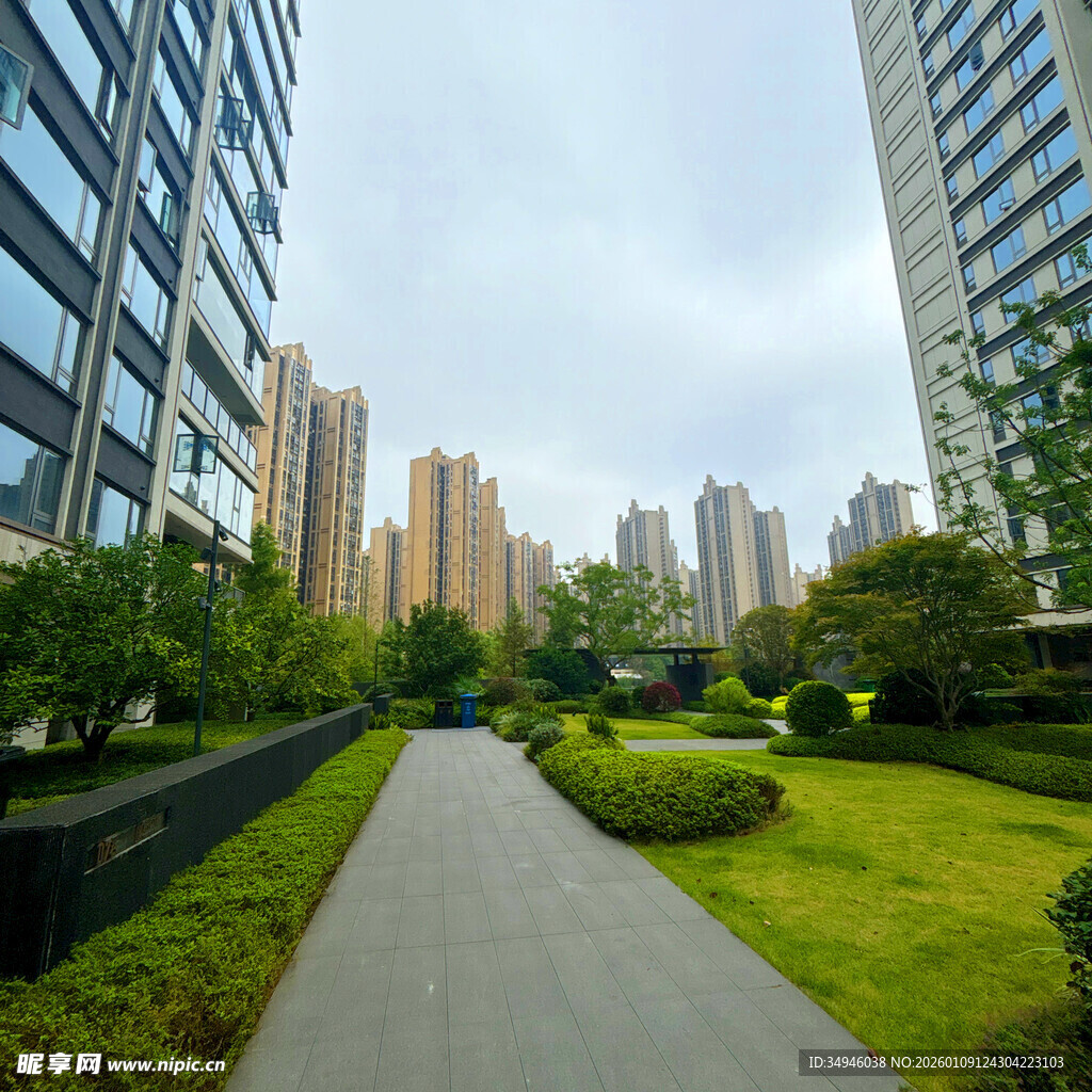 城市中的静谧绿化步道