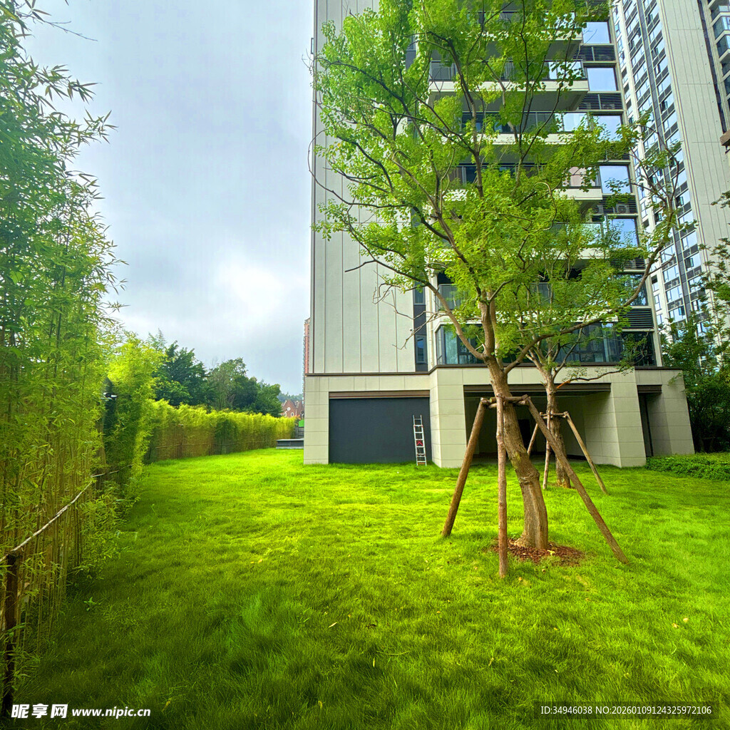 小区内的绿意盎然草坪景观