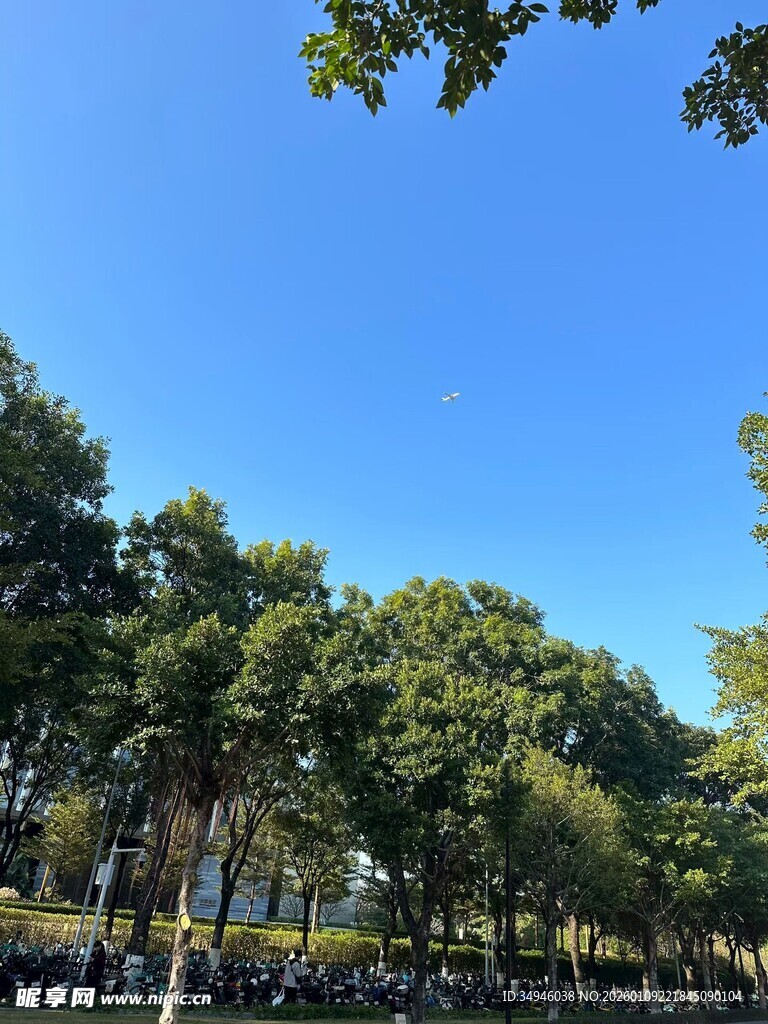 蓝天绿树风景宜人