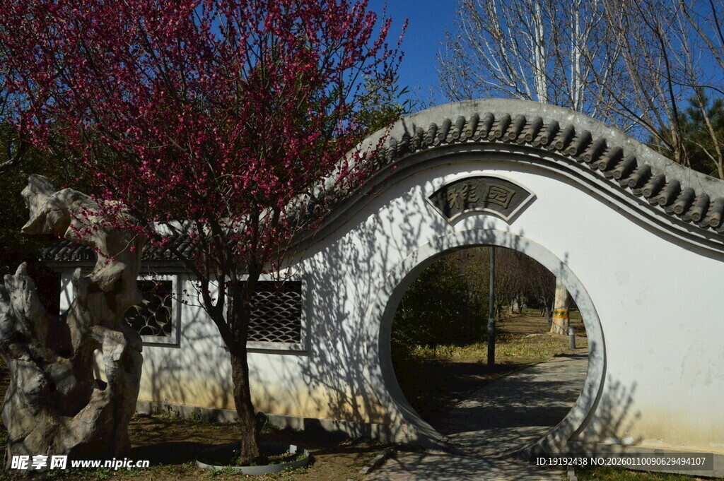 公园风景  