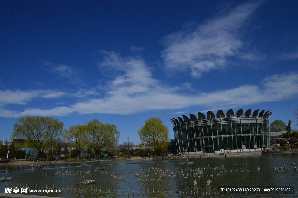 公园风景  
