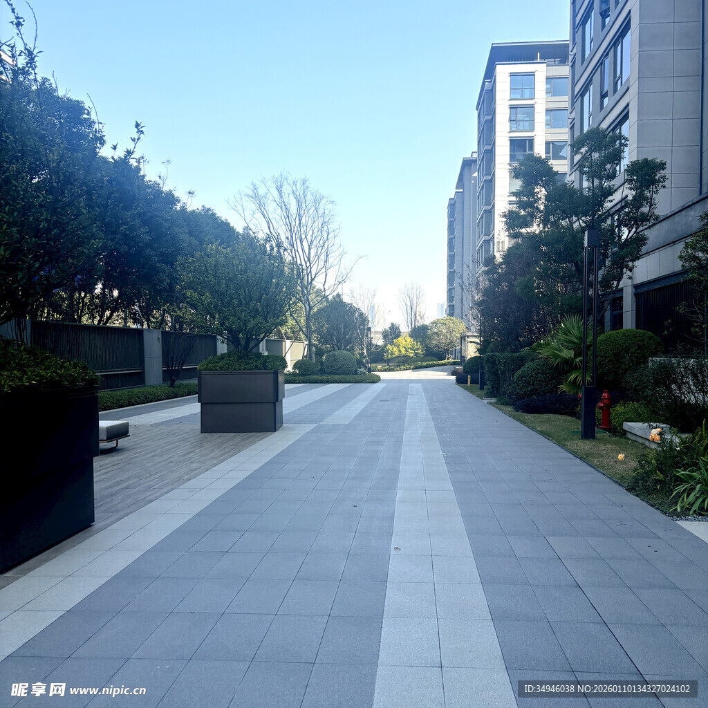 城市中整洁的林荫步行道