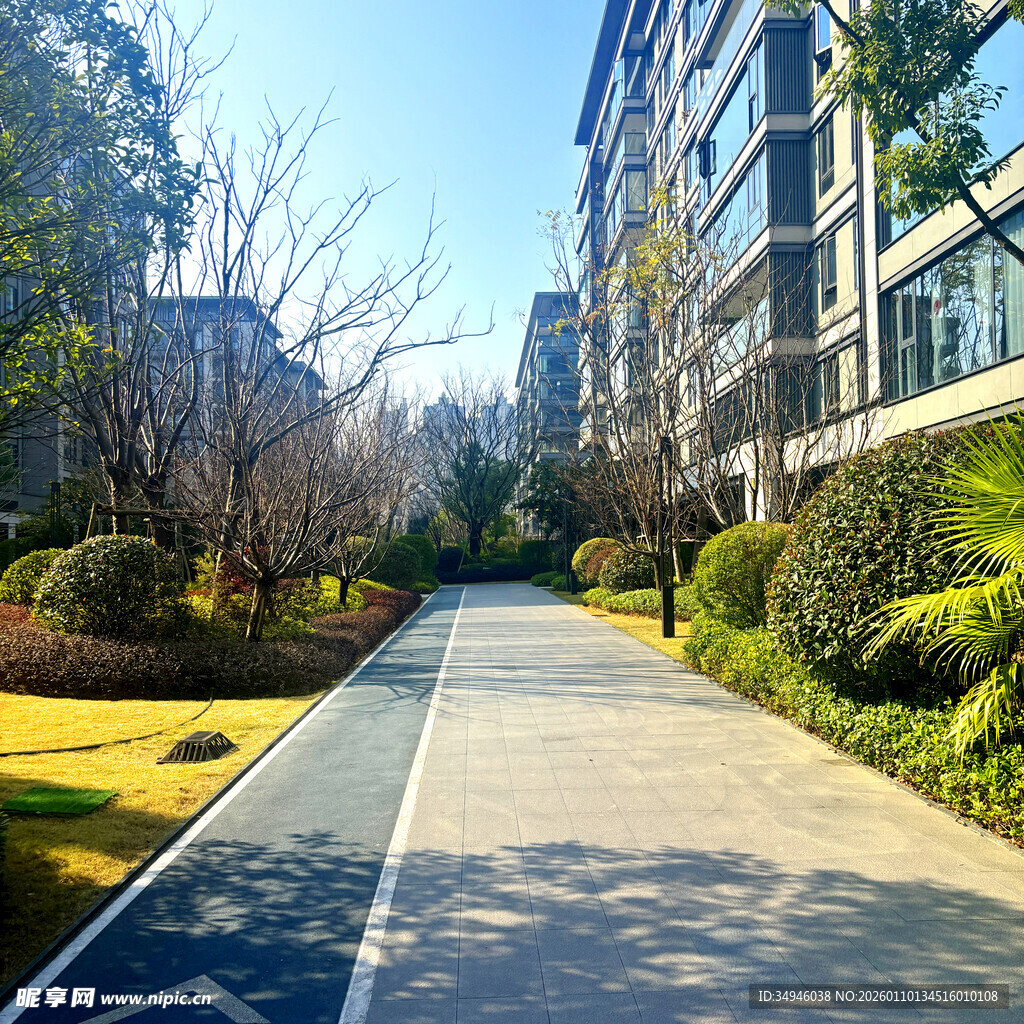 小区内整洁的林荫步道