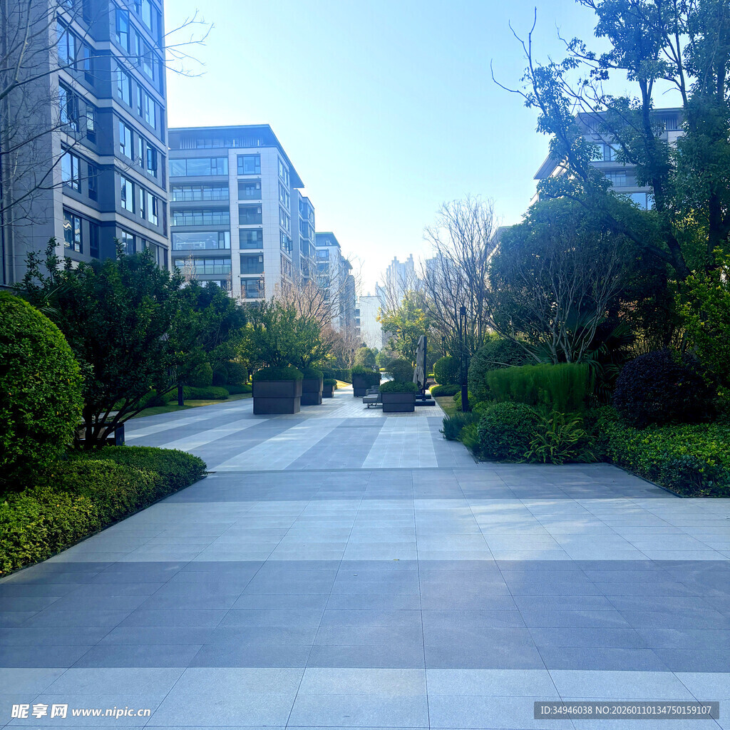 小区内的静谧林荫步道