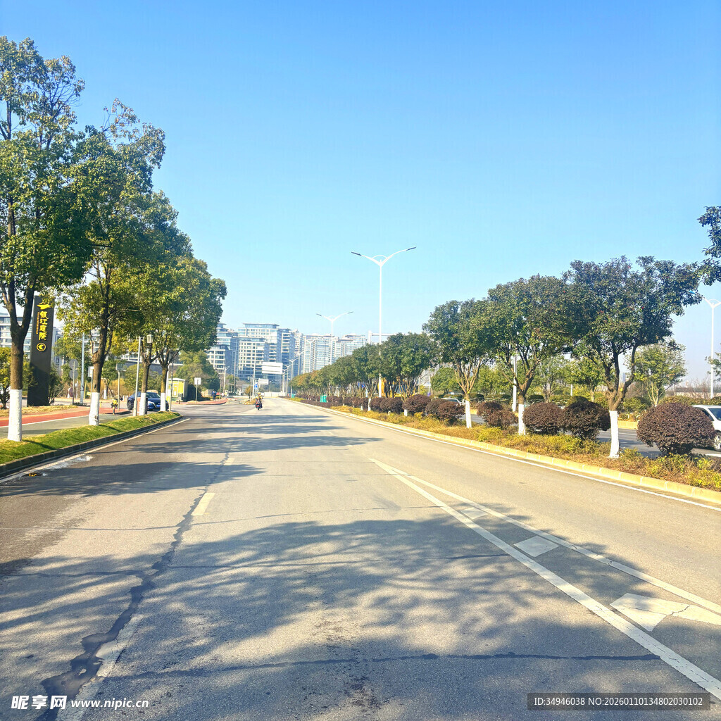 宽阔公路旁绿树蓝天相伴