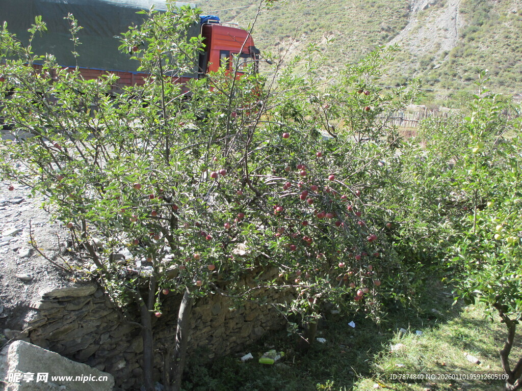 山间绿植丛中的红色物体