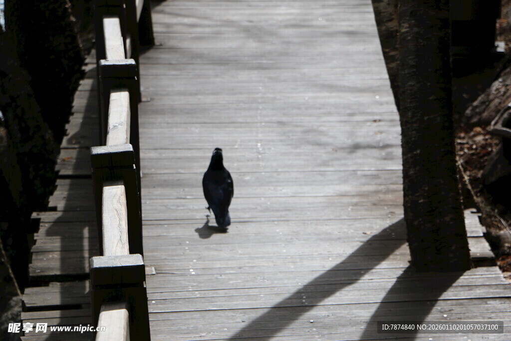 独行于石阶的身影