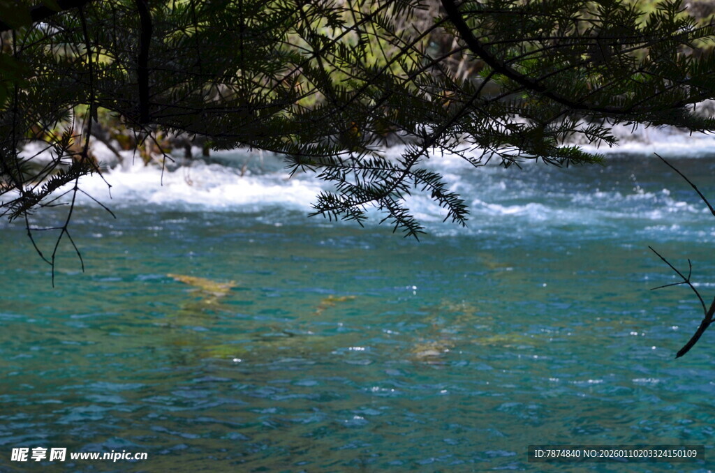 清澈溪流与岸边葱郁林木