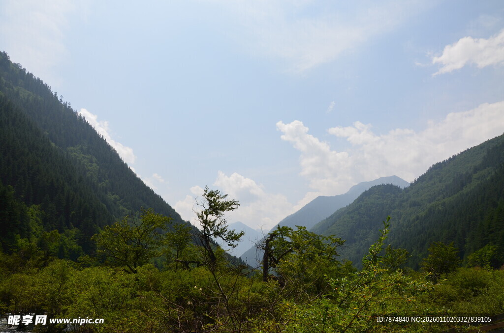 山间绿意盎然的秀丽景致