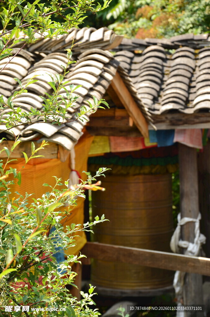 古朴小屋隐于绿植间