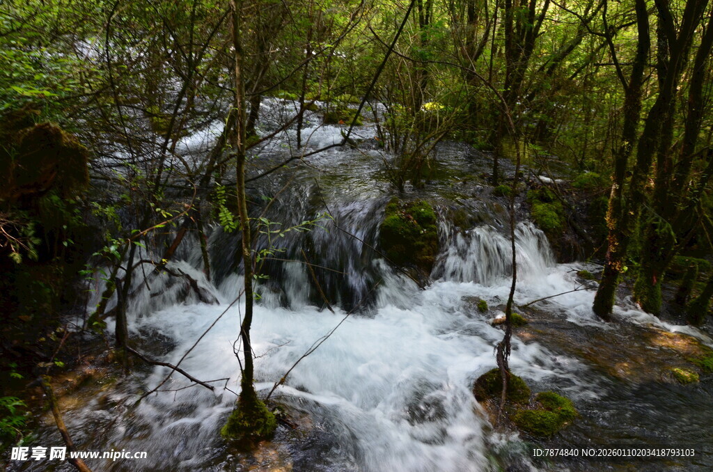 山林间的潺潺溪流