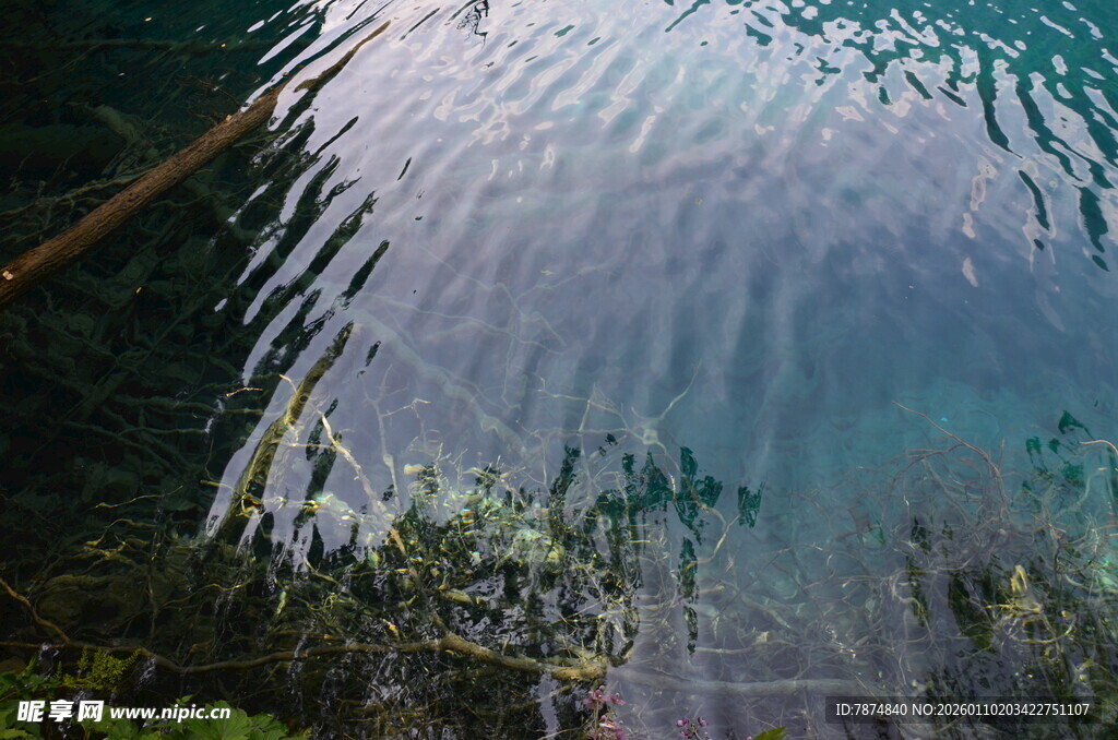 清澈水底的自然景象
