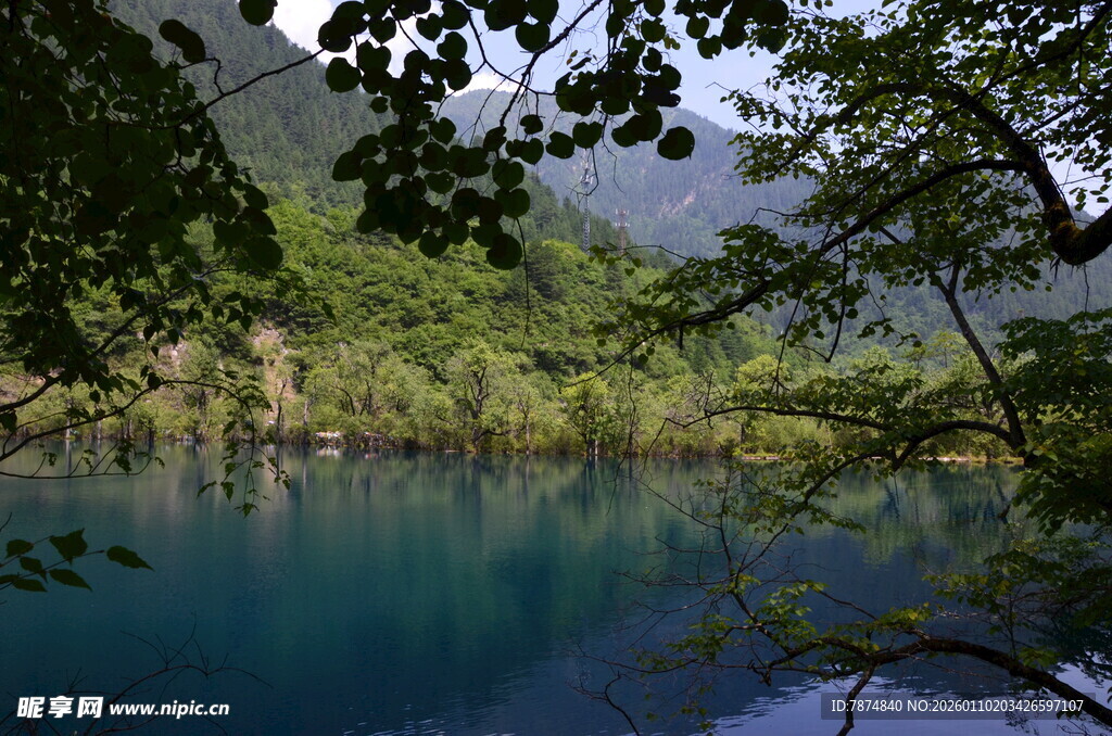 幽蓝湖水映山林美景
