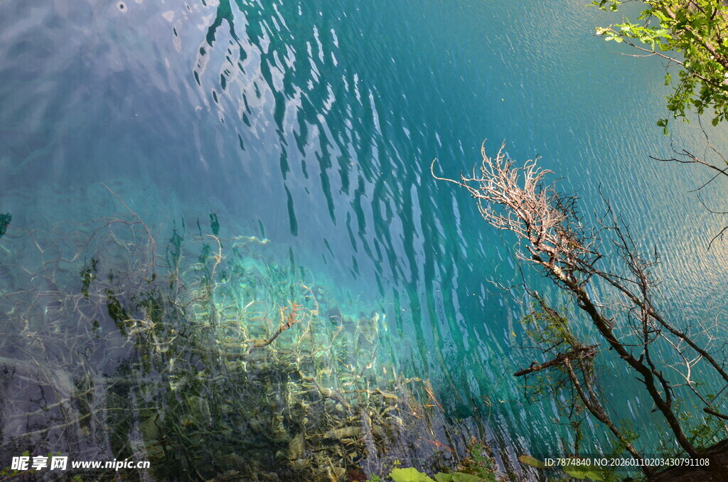 清澈湖水下的自然景致