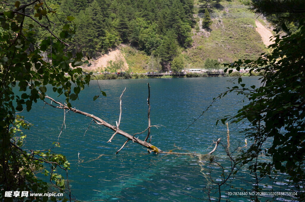山间幽蓝湖水与繁茂林木