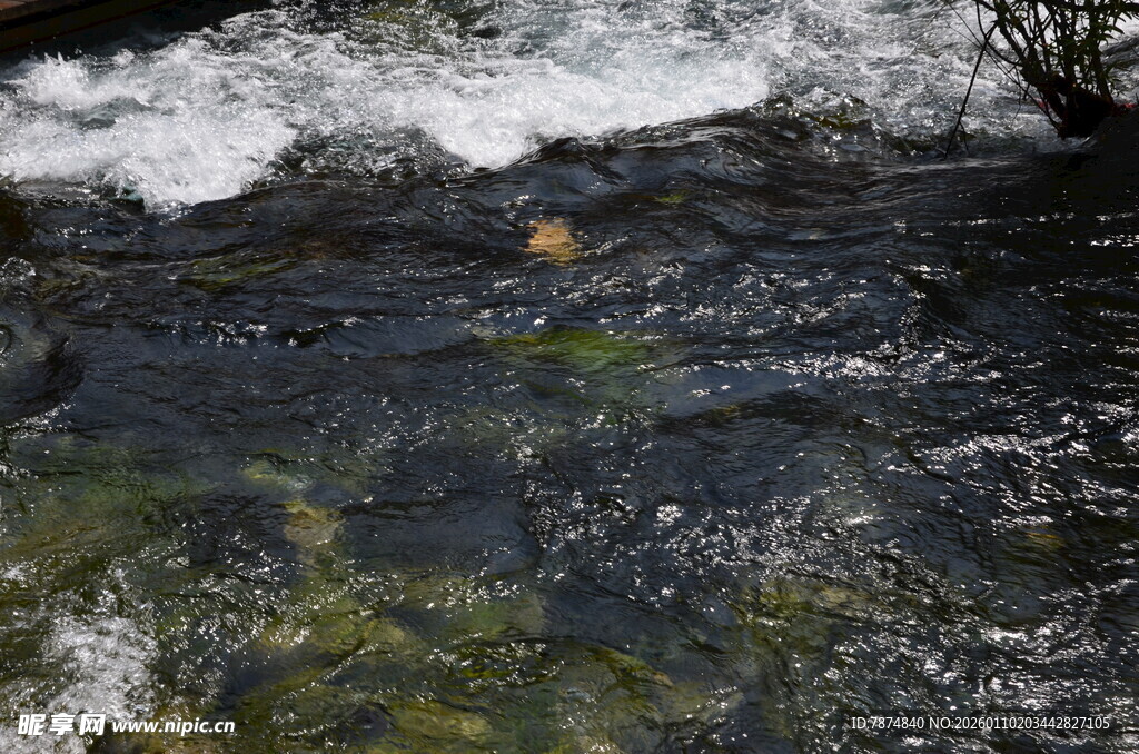 潺潺溪流中的灵动景象