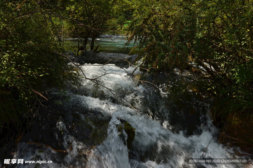 山间溪流潺潺流淌