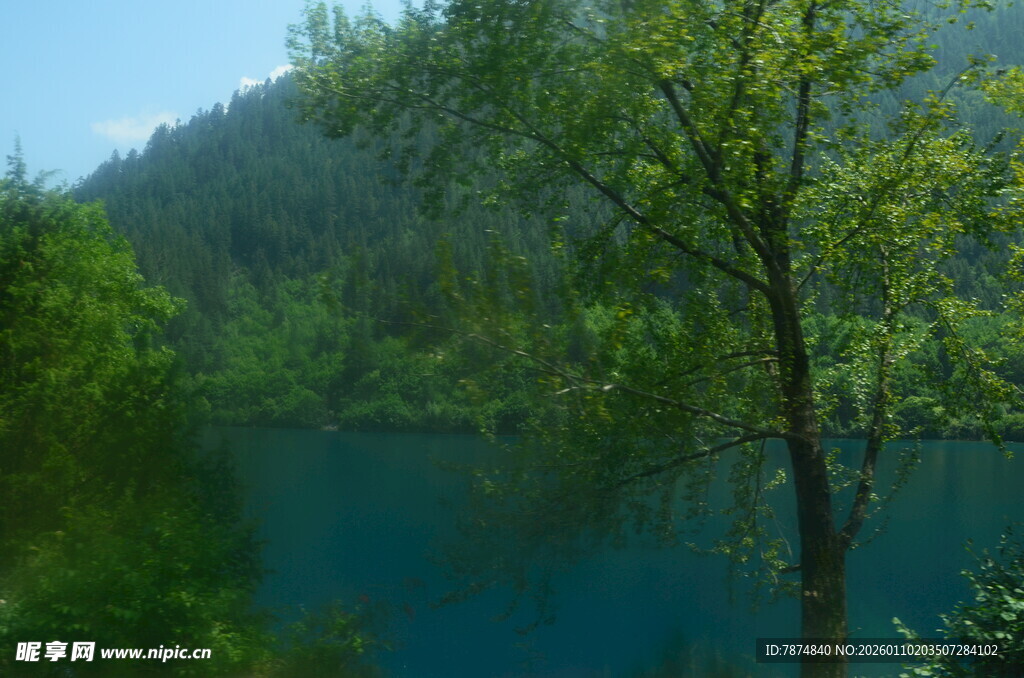 山间蓝湖旁的葱郁树木