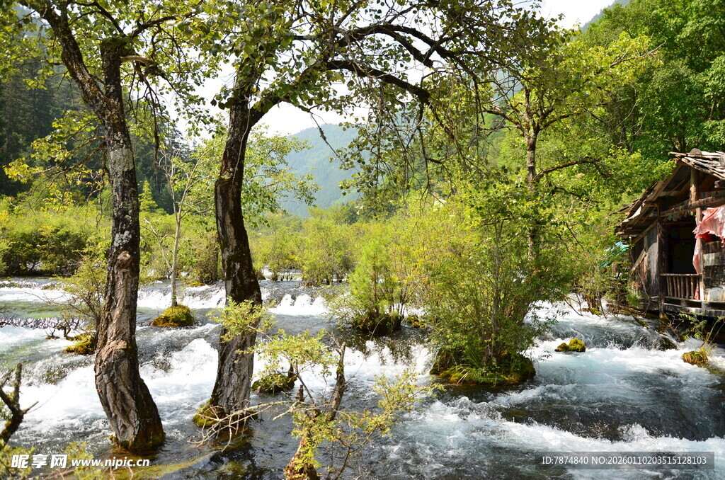 溪边葱郁树木与古朴小屋