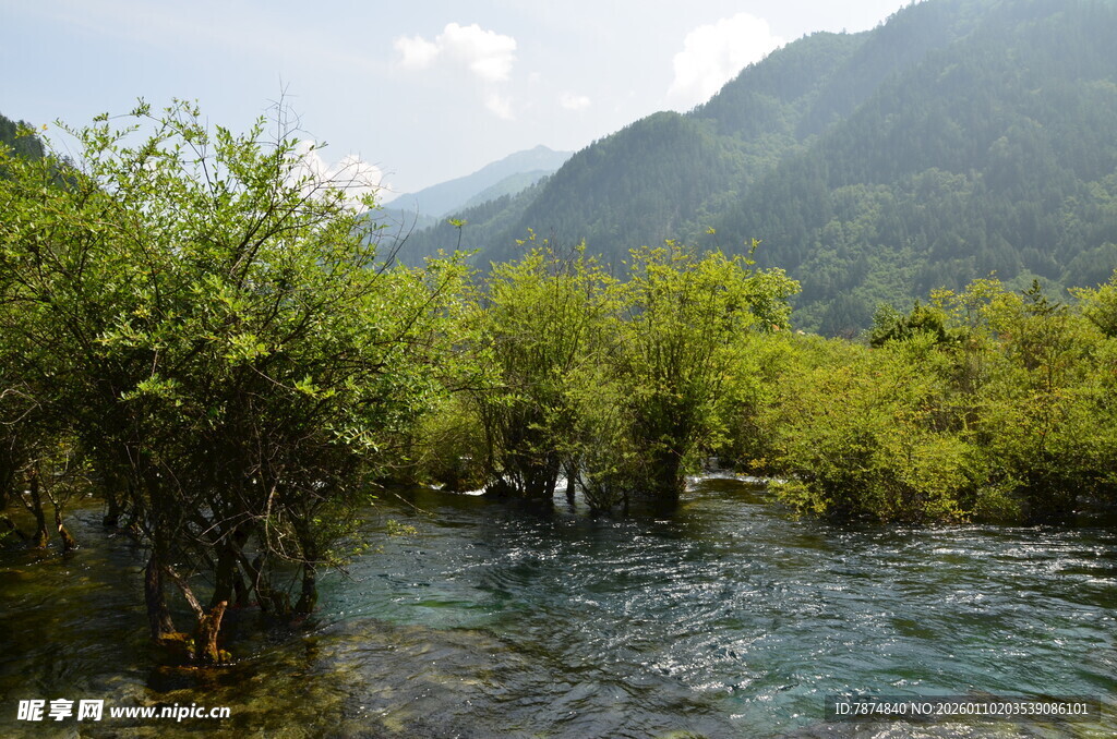 青山绿水间的秀丽河岸风光