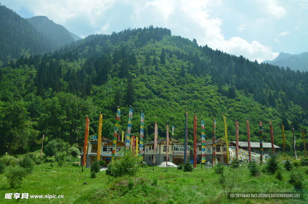 山间林立的多彩柱状物景观