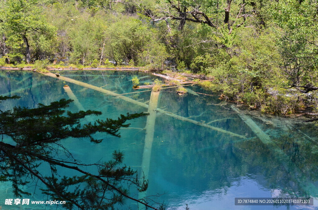 清澈幽蓝的森林中的湖泊