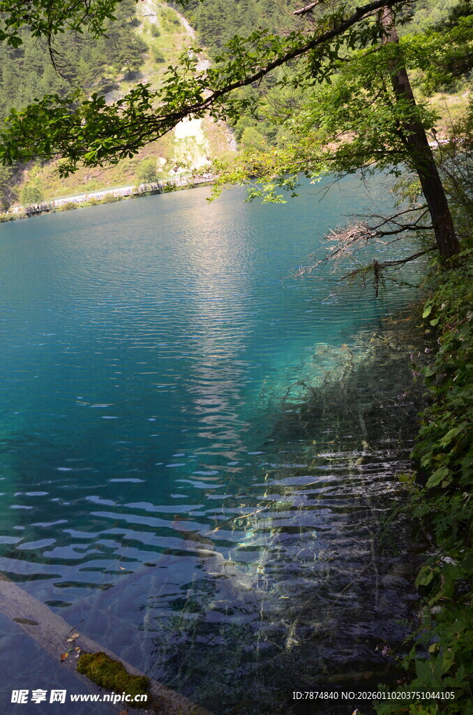 幽美清澈的山林湖泊风光