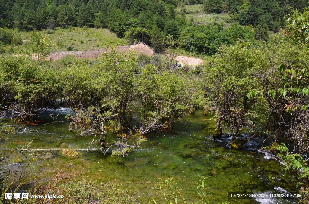 山间绿野溪流自然美景