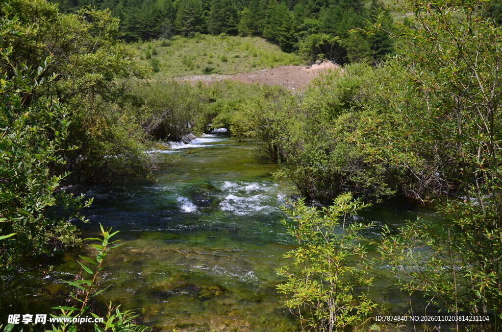 山间溪流 绿意环绕的美景