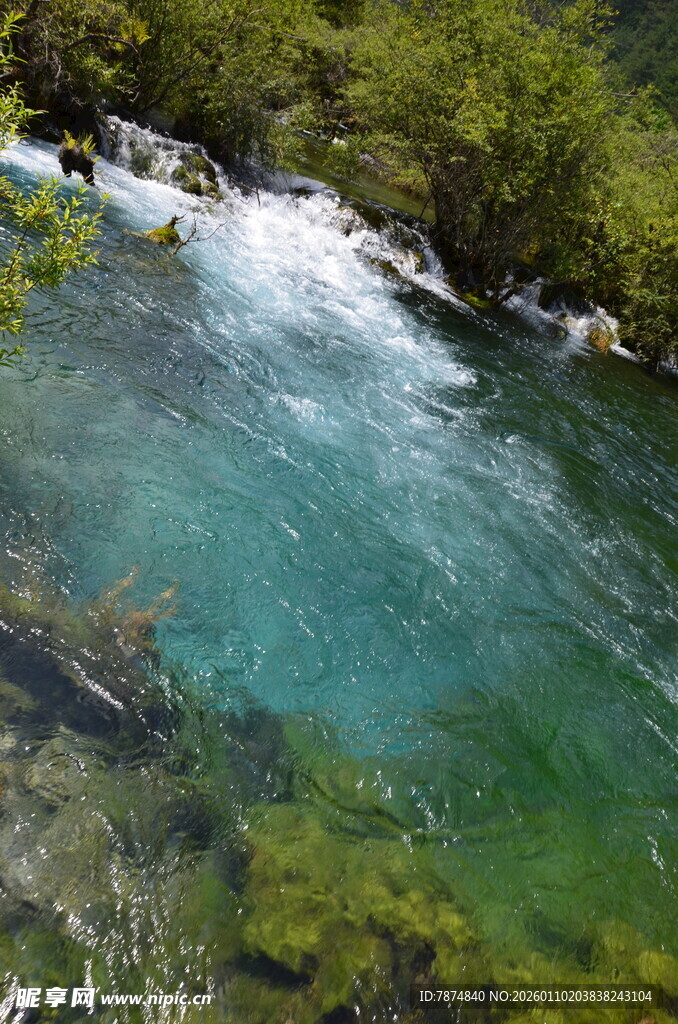 清澈溪流穿行于葱郁山林