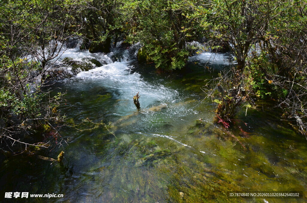 山间清澈溪流 绿意环绕