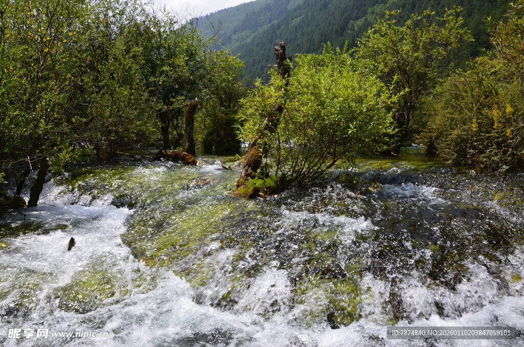 山间湍急溪流与葱郁植被