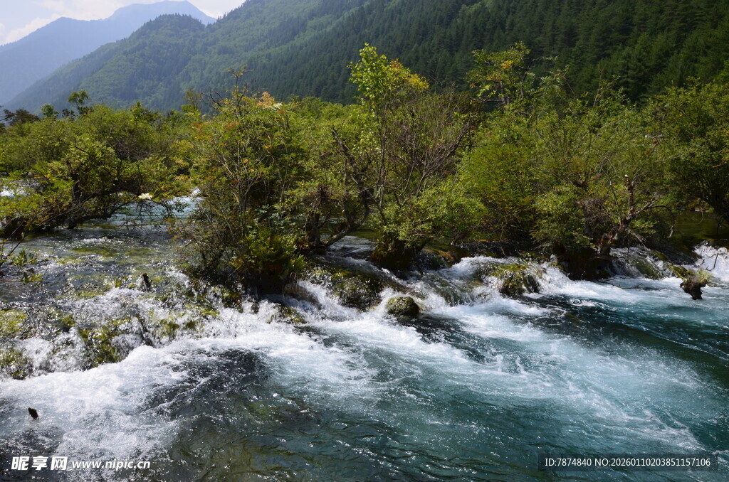 山间湍急溪流与葱郁植被