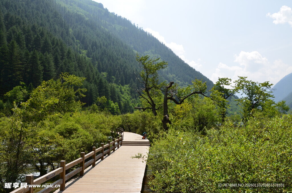 山间木栈道 绿意环绕美景