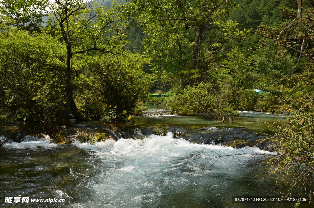 山间溪流 绿意盎然之景