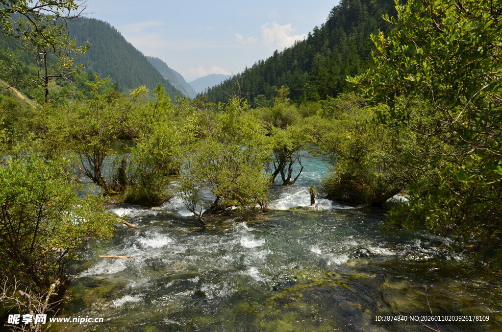 山间溪流绿意盎然