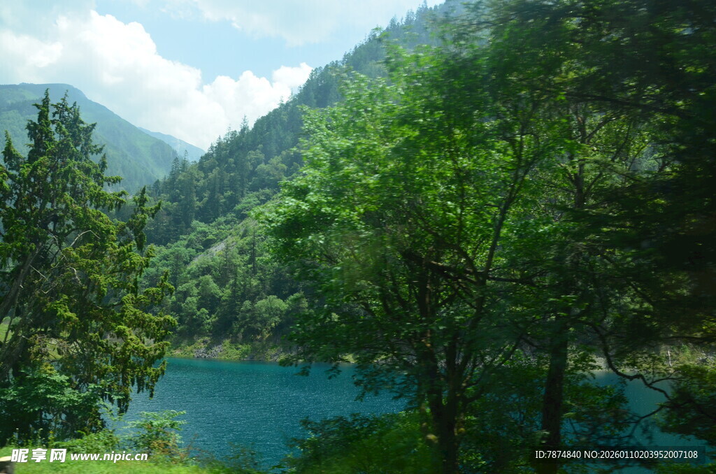 山间蓝湖旁的葱郁树林