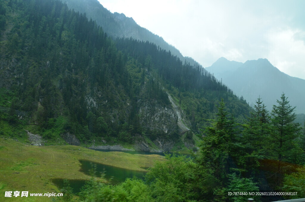 山间绿野 葱郁山林美景
