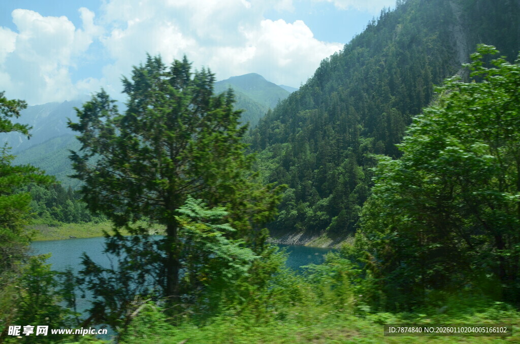 山间湖畔绿意盎然景色
